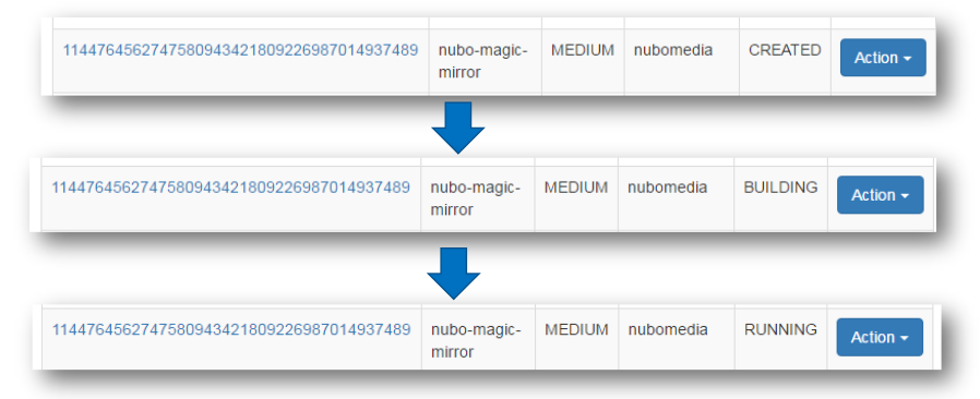 PaaS Manager Settings for Magic Mirror Tutorial